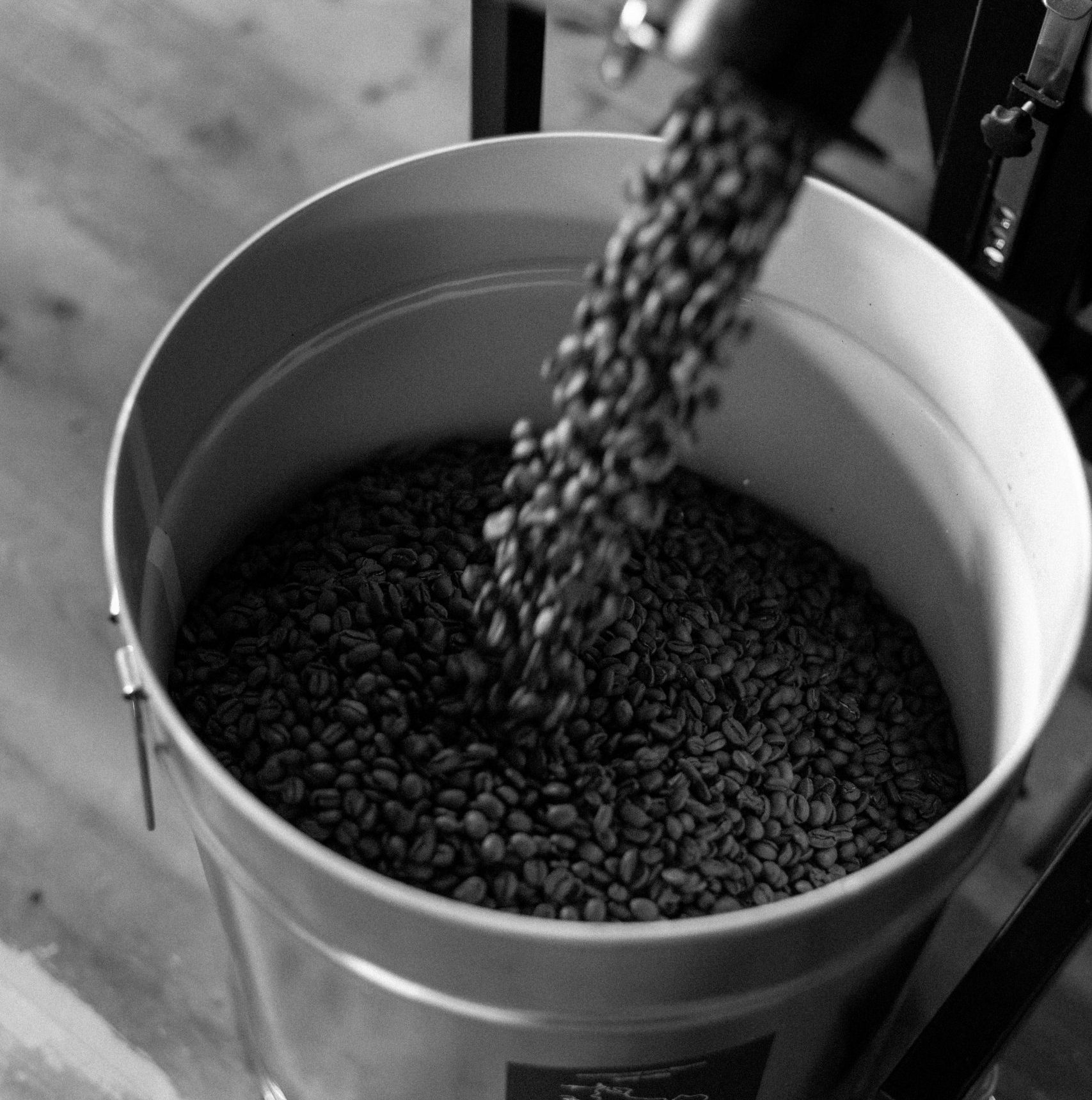Kaffeebohnen werden in einen Eimer geschüttet